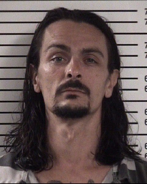 Lee Earnest Williams